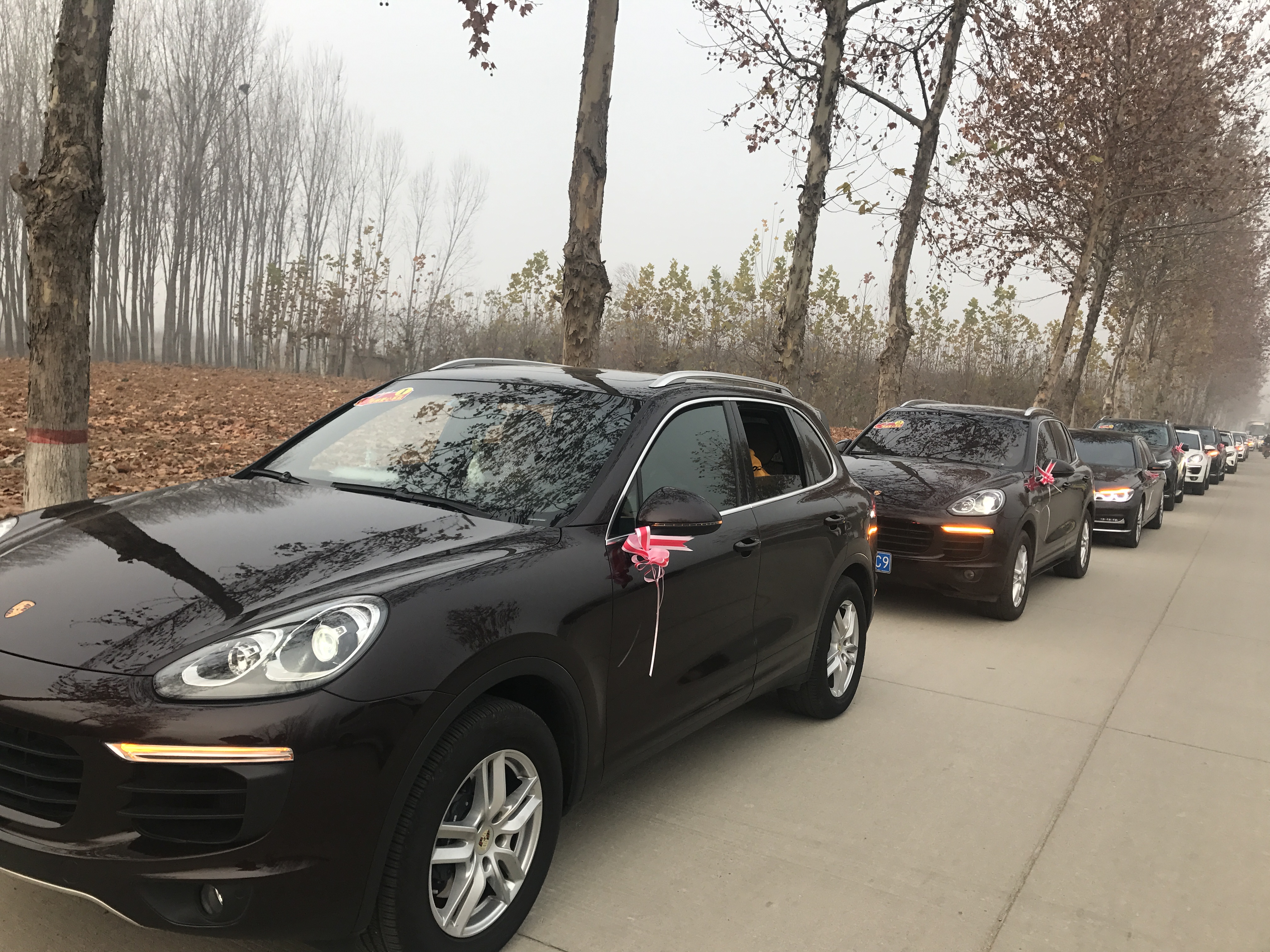 第183所 泰安市岱岳区良庄镇好博在线（中国）唯一官方网站李娜小学