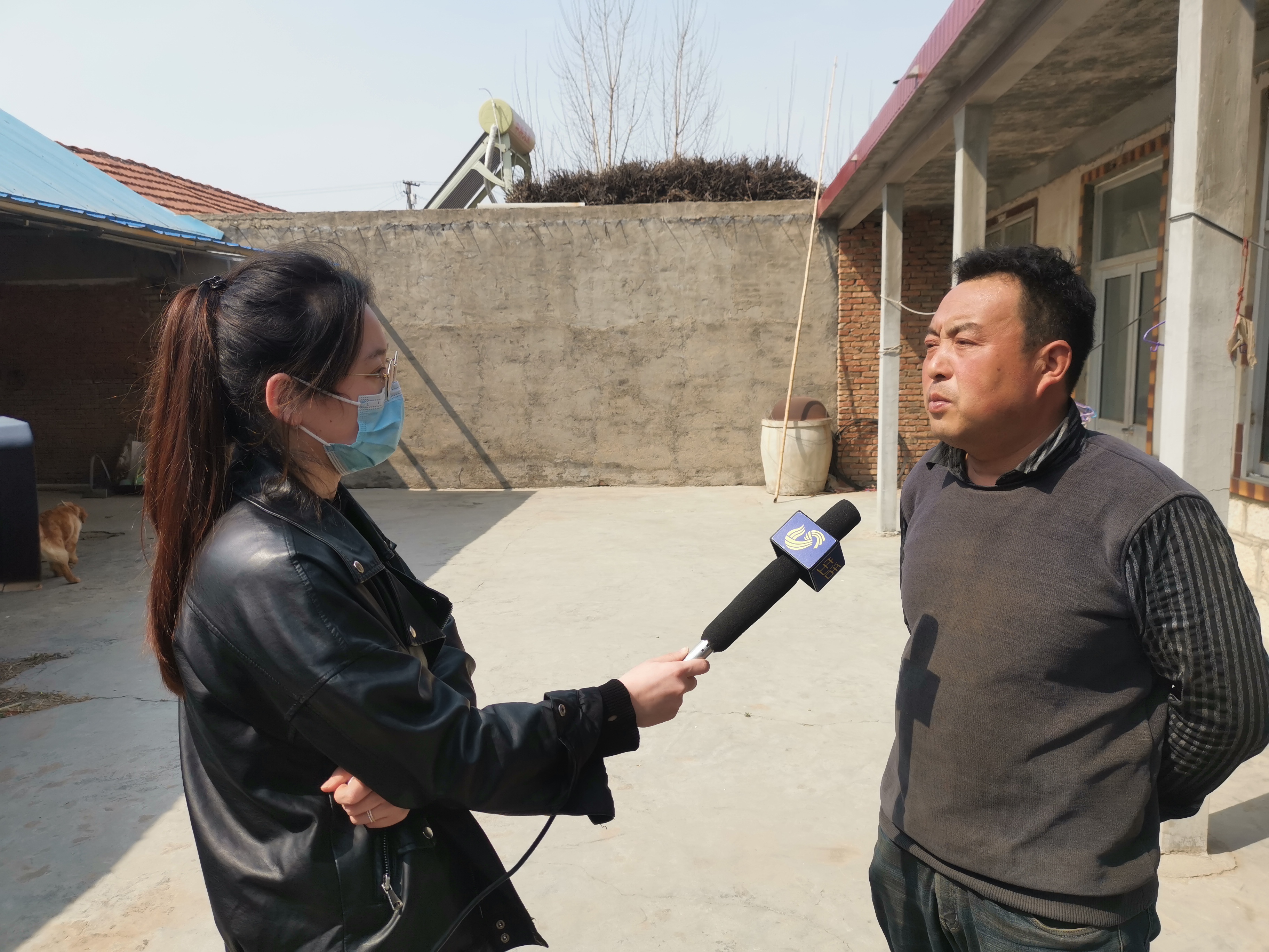 第209所 平度市崔家集镇状元府好博在线（中国）唯一官方网站刘丽新小学