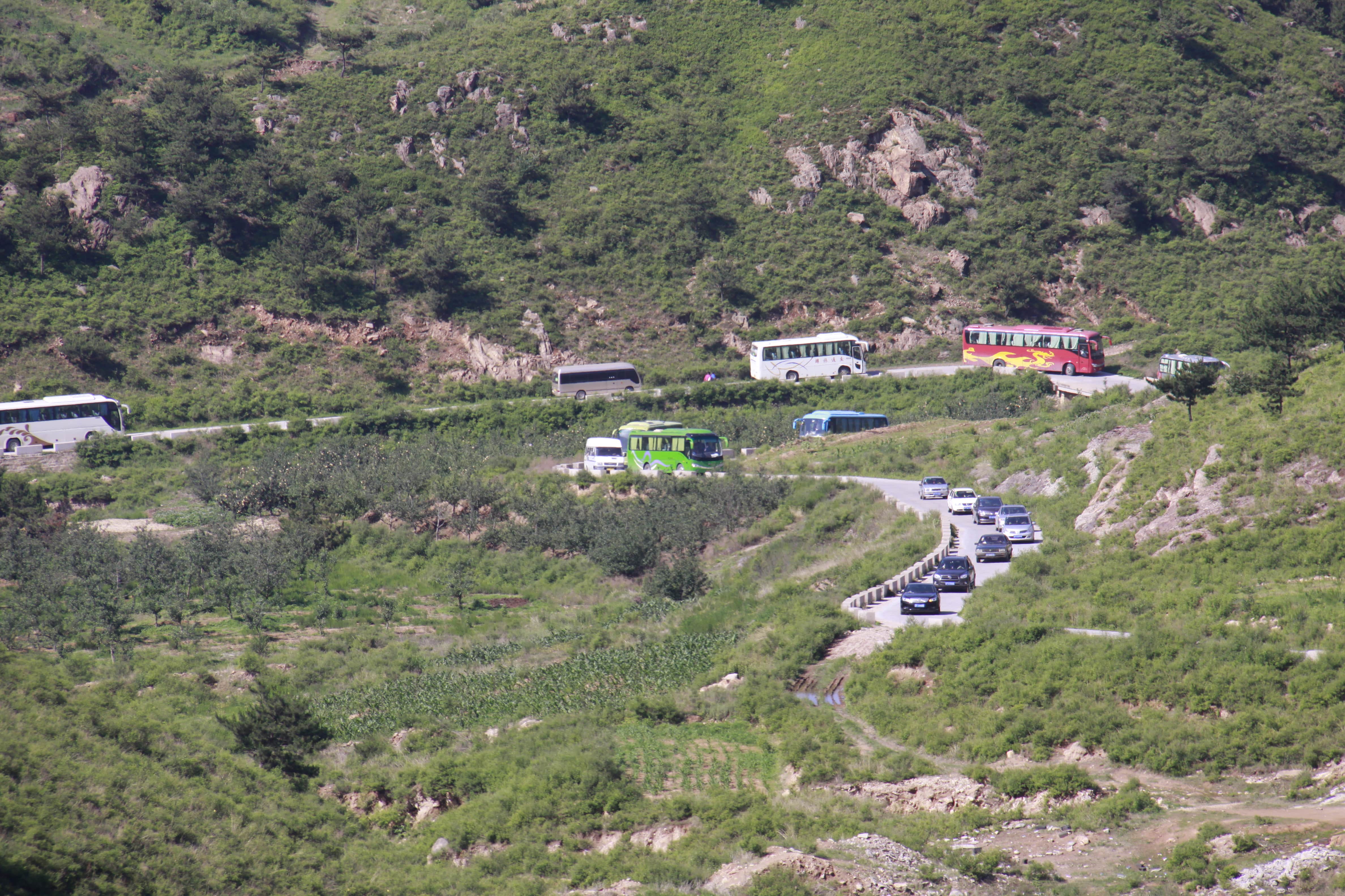 第26所 葫芦岛市永安堡乡好博在线（中国）唯一官方网站张越小学